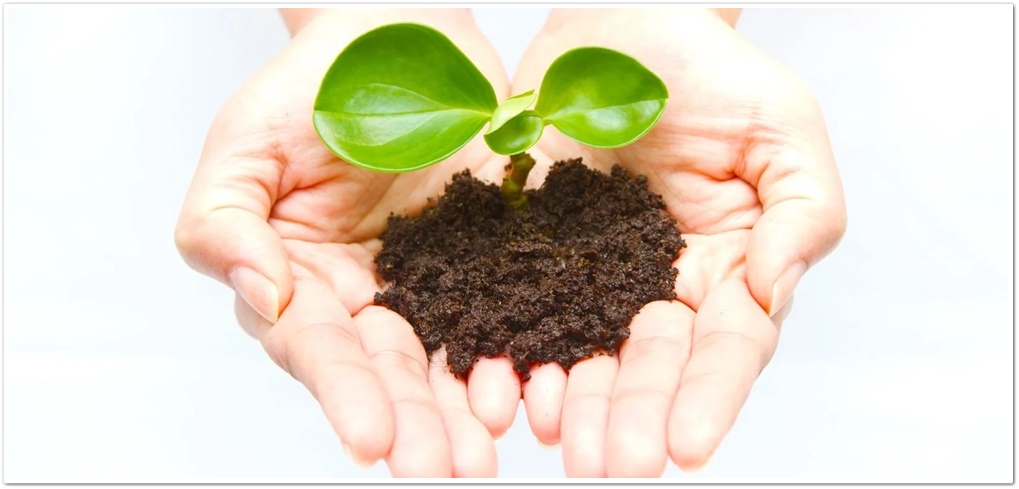 大阪市の安心と信頼の生活介護・【カラフルデイズ】