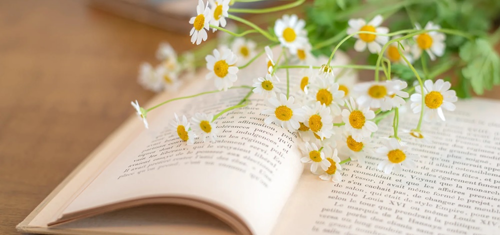 大阪市のボイスウエルフェアは生活介護、児童発達支援、放課後等デイサービス、相談支援事業所のベストな選択です