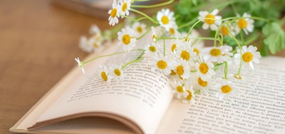 大阪市のボイスウエルフェアは生活介護、児童発達支援、放課後等デイサービス、相談支援事業所のベストな選択です